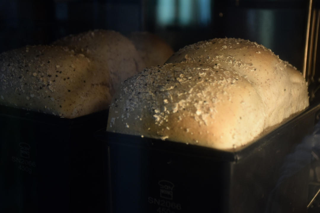 黑全麦波兰种吐司，这么柔软简直怀疑你是个假全麦！