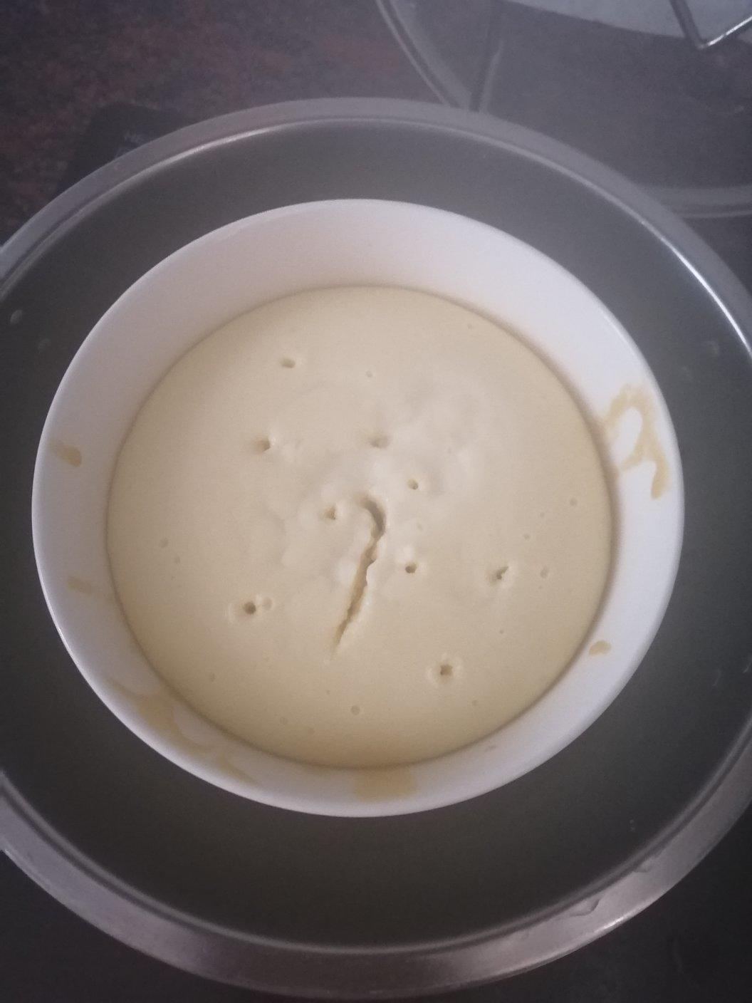 不用打发蛋白不用烤箱的 Q弹 酸奶蒸蛋糕！
