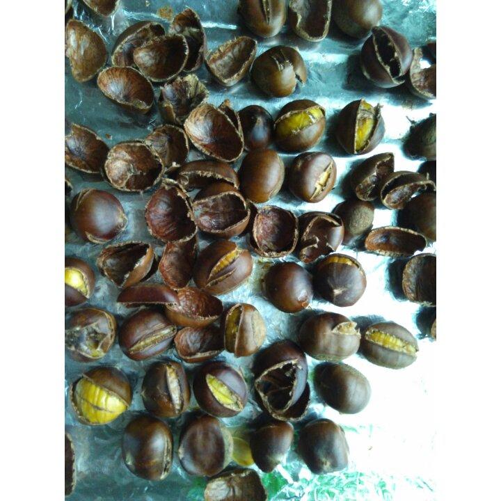 新手零失败烤栗子