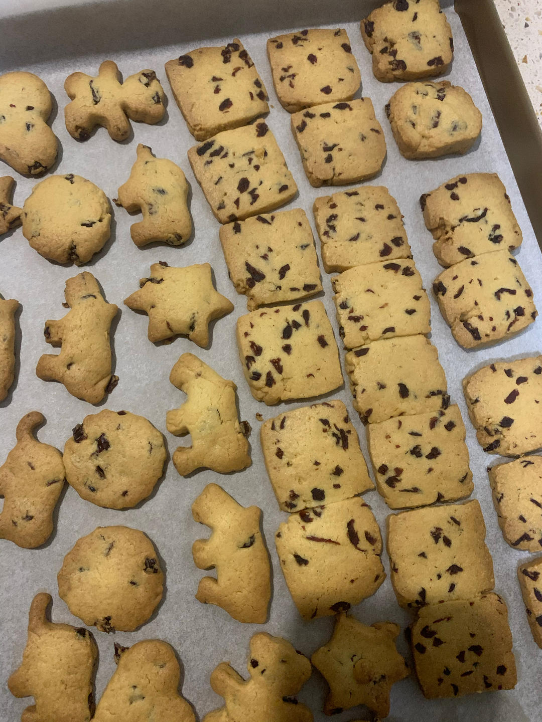 蔓越莓曲奇饼干🍪0失败