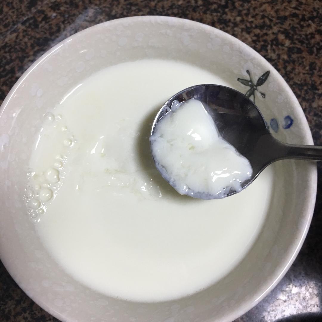 【一次就成功的姜撞奶的做法步骤图】三分之十_下厨房