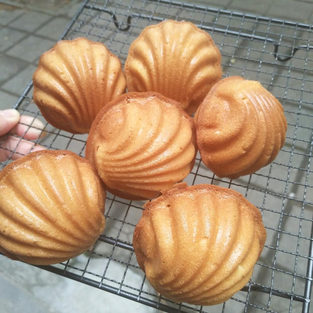 玛德琳（蓝带方）