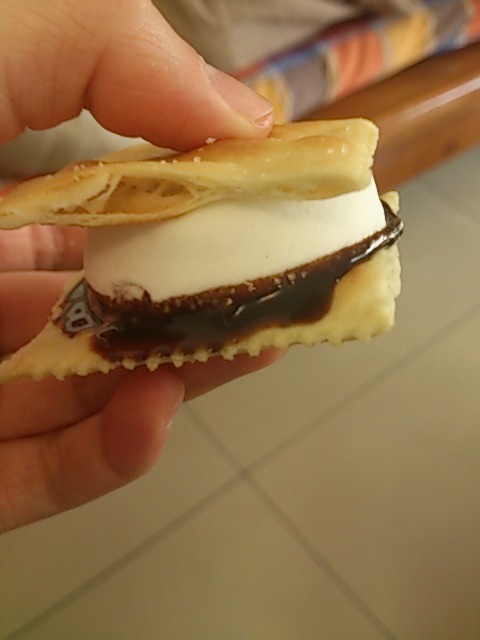 S'more 苏打饼夹烤棉花糖