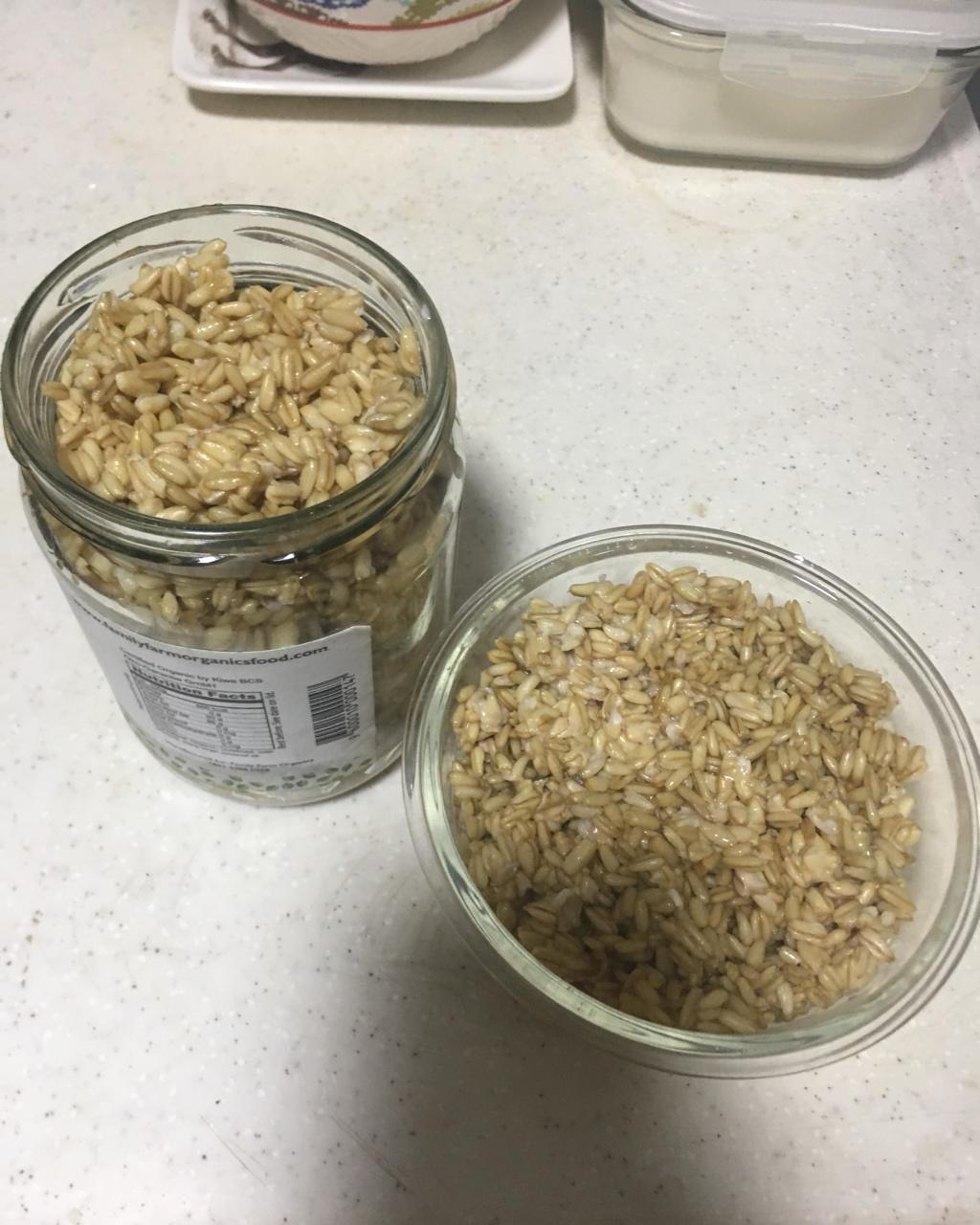 燕麦酒酿（甜胚子）丨健康·三餐