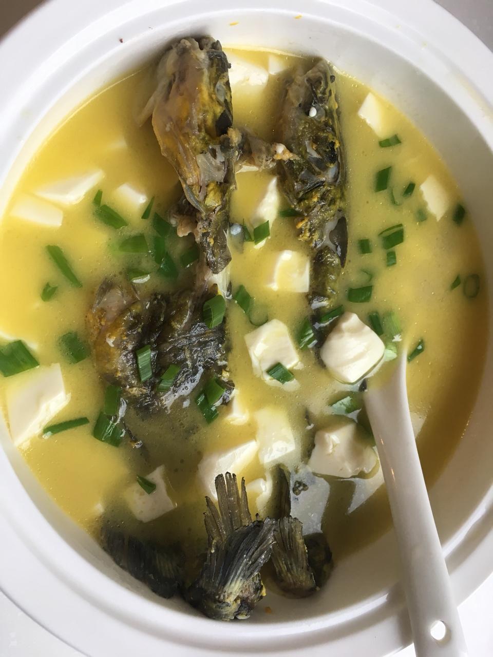 咸鱼太太的家做的昂子鱼豆腐汤