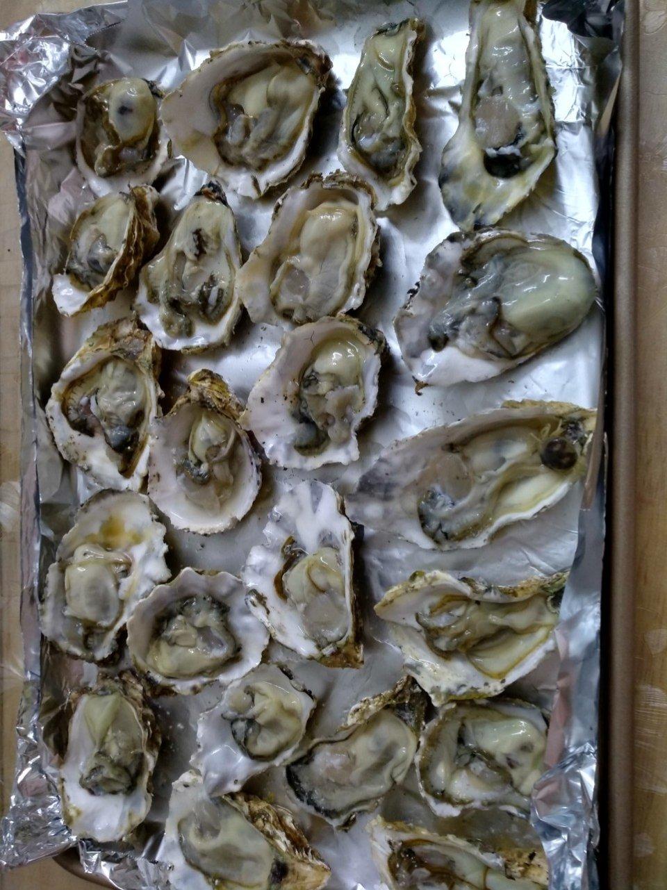 烤生蚝 生蚝好吃关键是蒜茸做得好