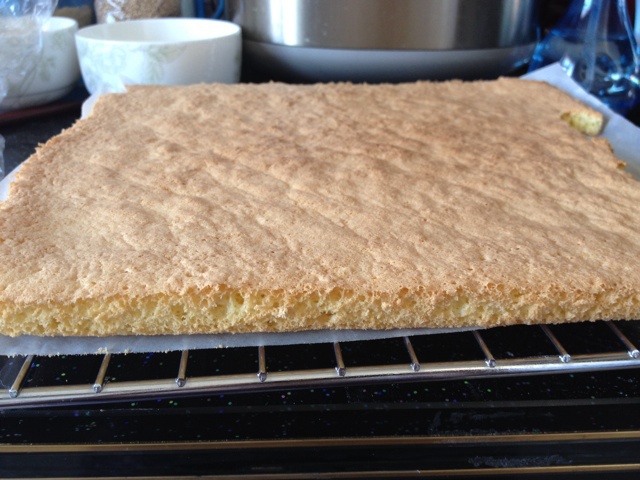 原味分蛋海绵蛋糕片