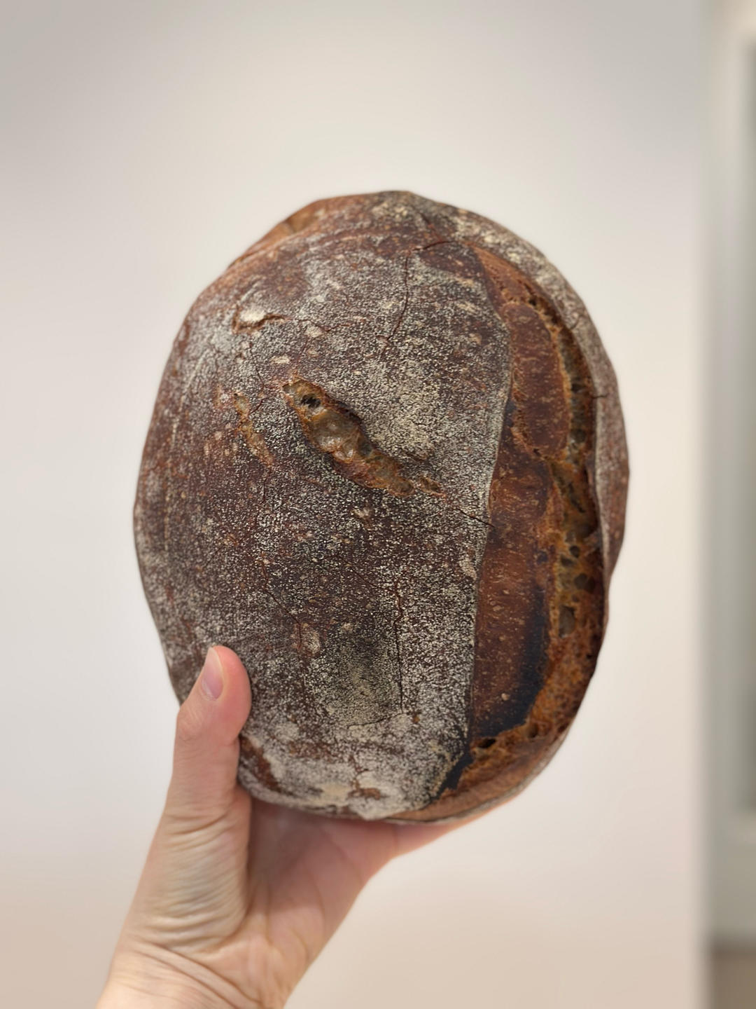 sourdough爱心制造记录
