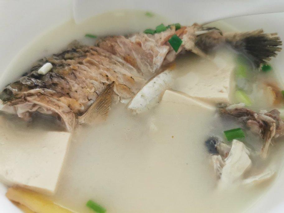 奶白鲫鱼豆腐汤|一条鱼最后的温柔