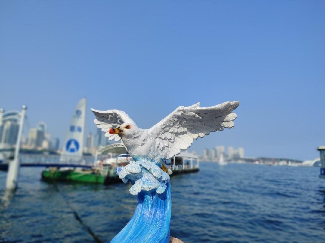 热爱生活的又又又又