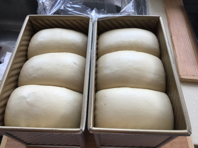 北海道吐司（70%冷藏中种法）