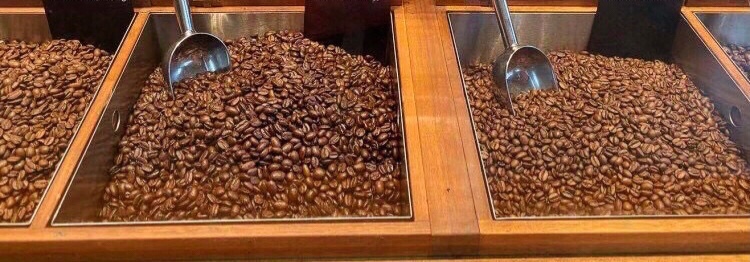 （1）咖啡          咖啡生长🍒