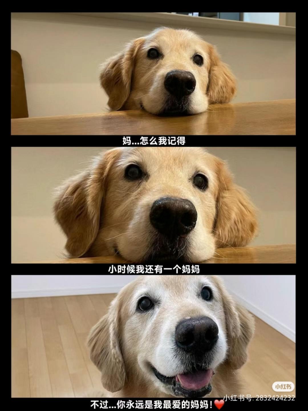 温暖生活日记