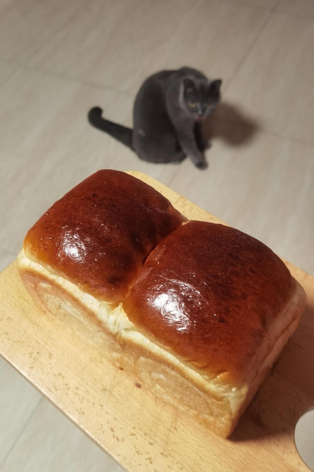 椰浆吐司🍞一次发酵