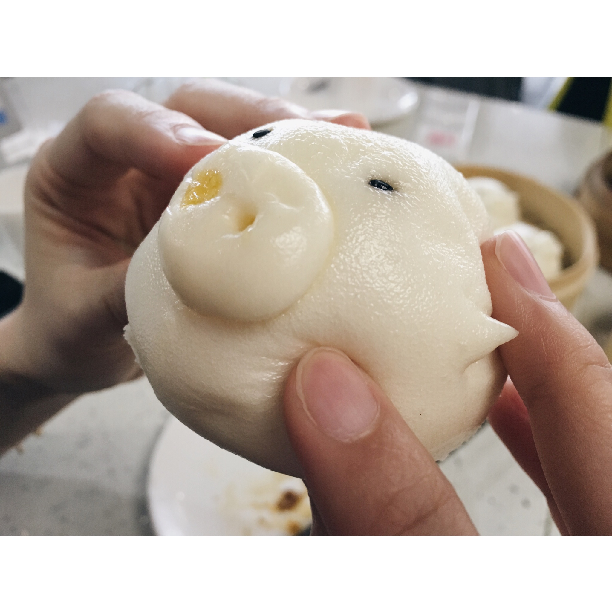 吃不胖的狗