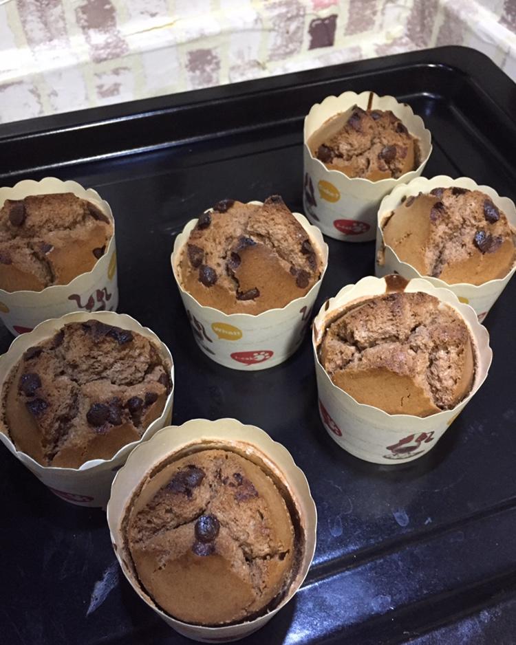 巧克力豆可可戚风纸杯蛋糕
