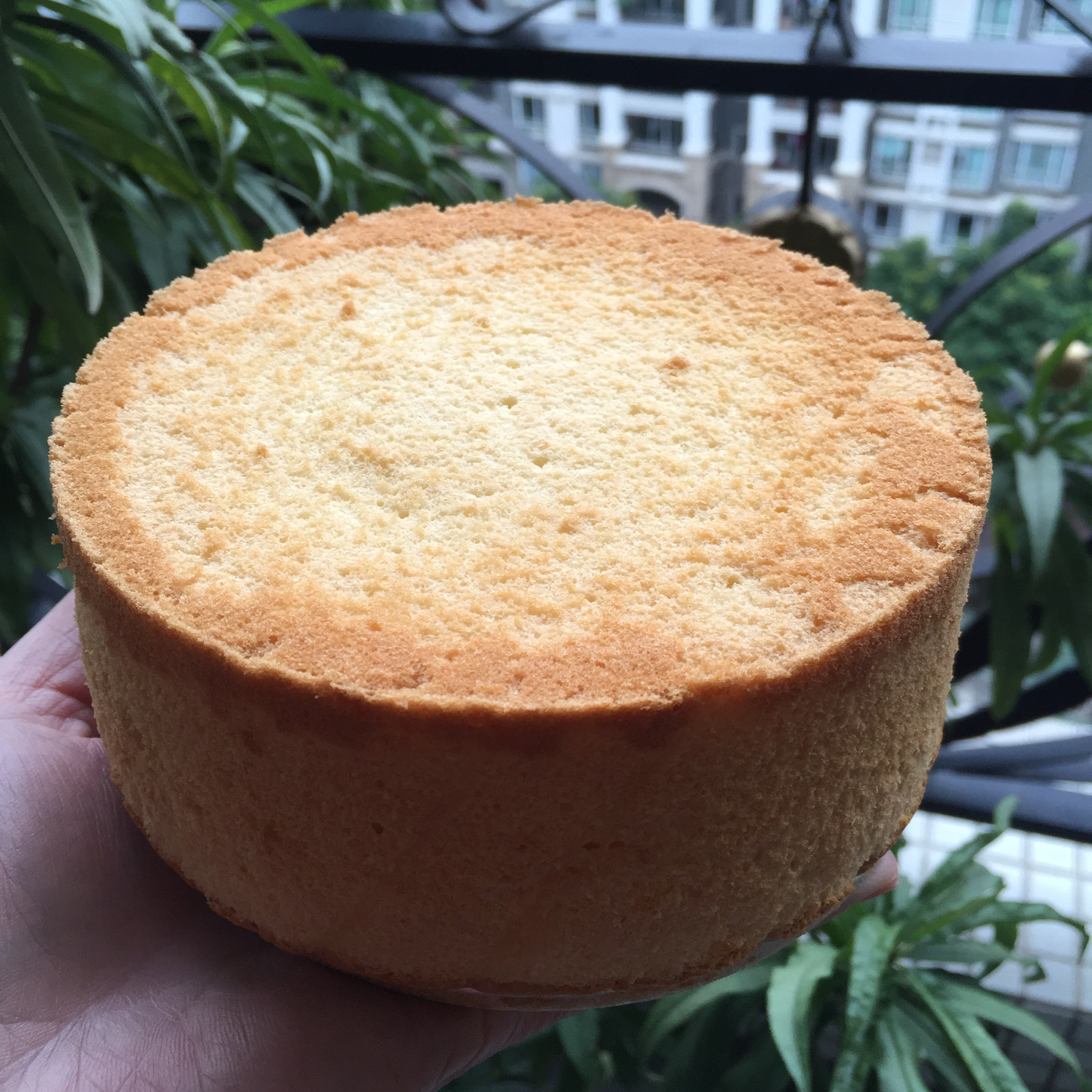 君之版戚风蛋糕