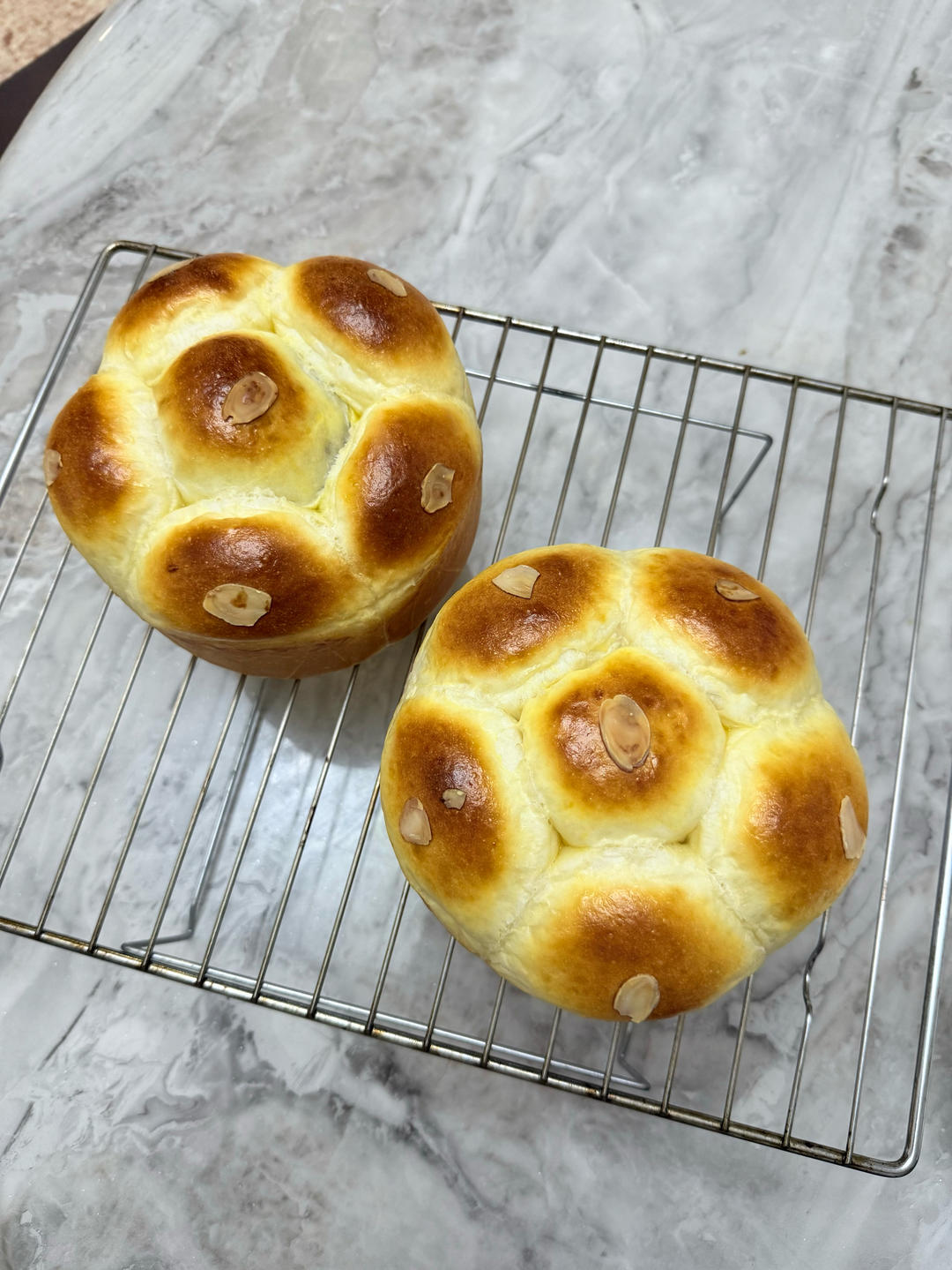 中种+烫种，超软云朵面包