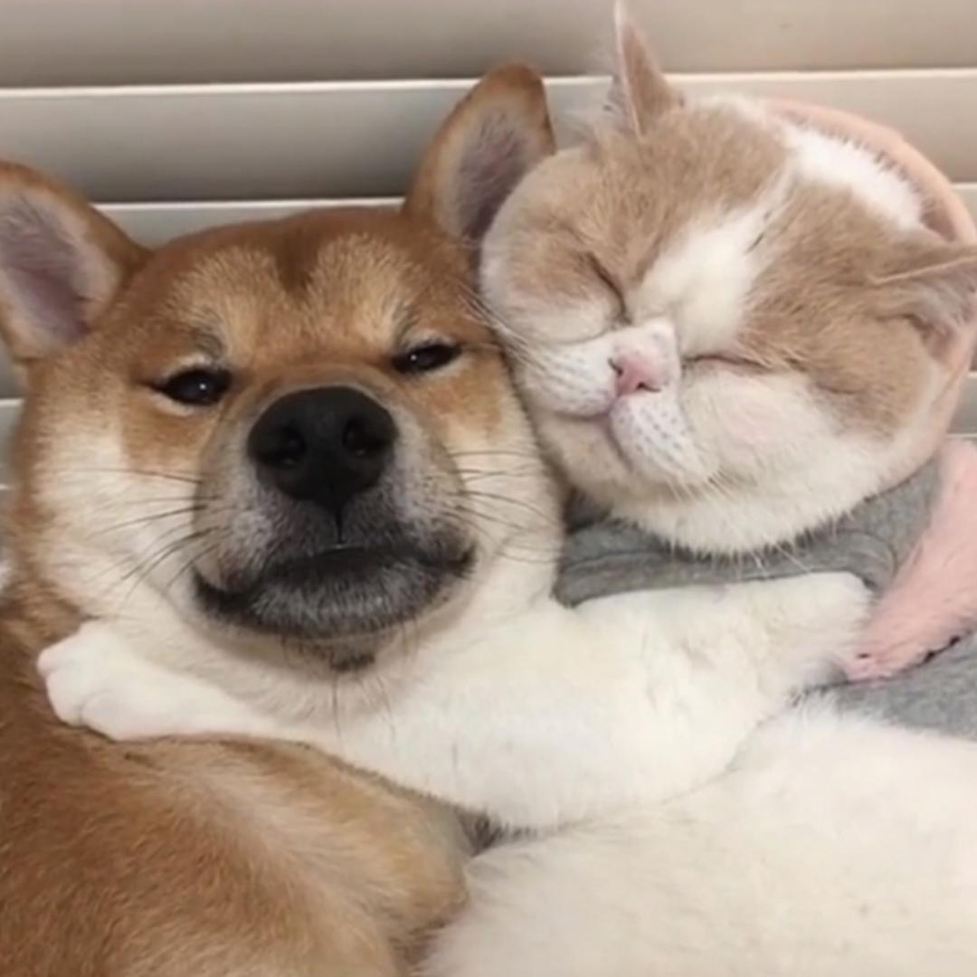 黄小丅