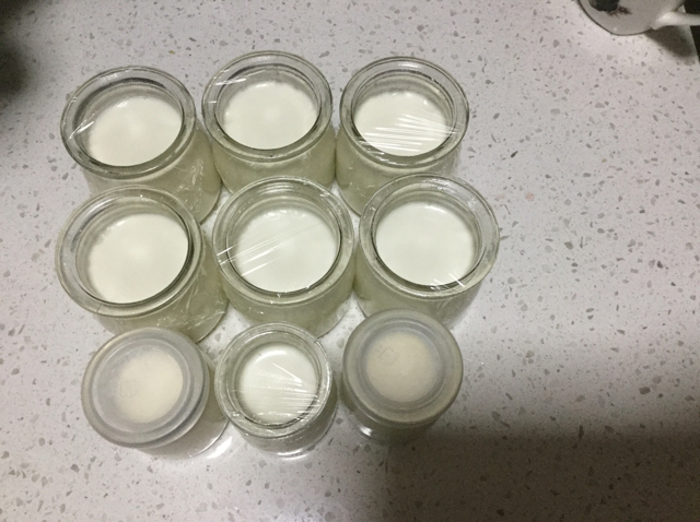烤箱自制酸奶