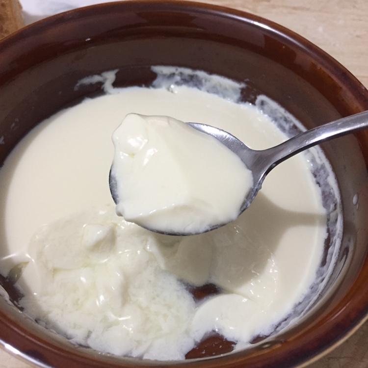 姜撞奶（零失败 估计这是最详细的姜撞奶教程了）