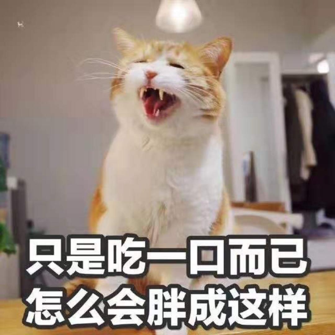 南北此间