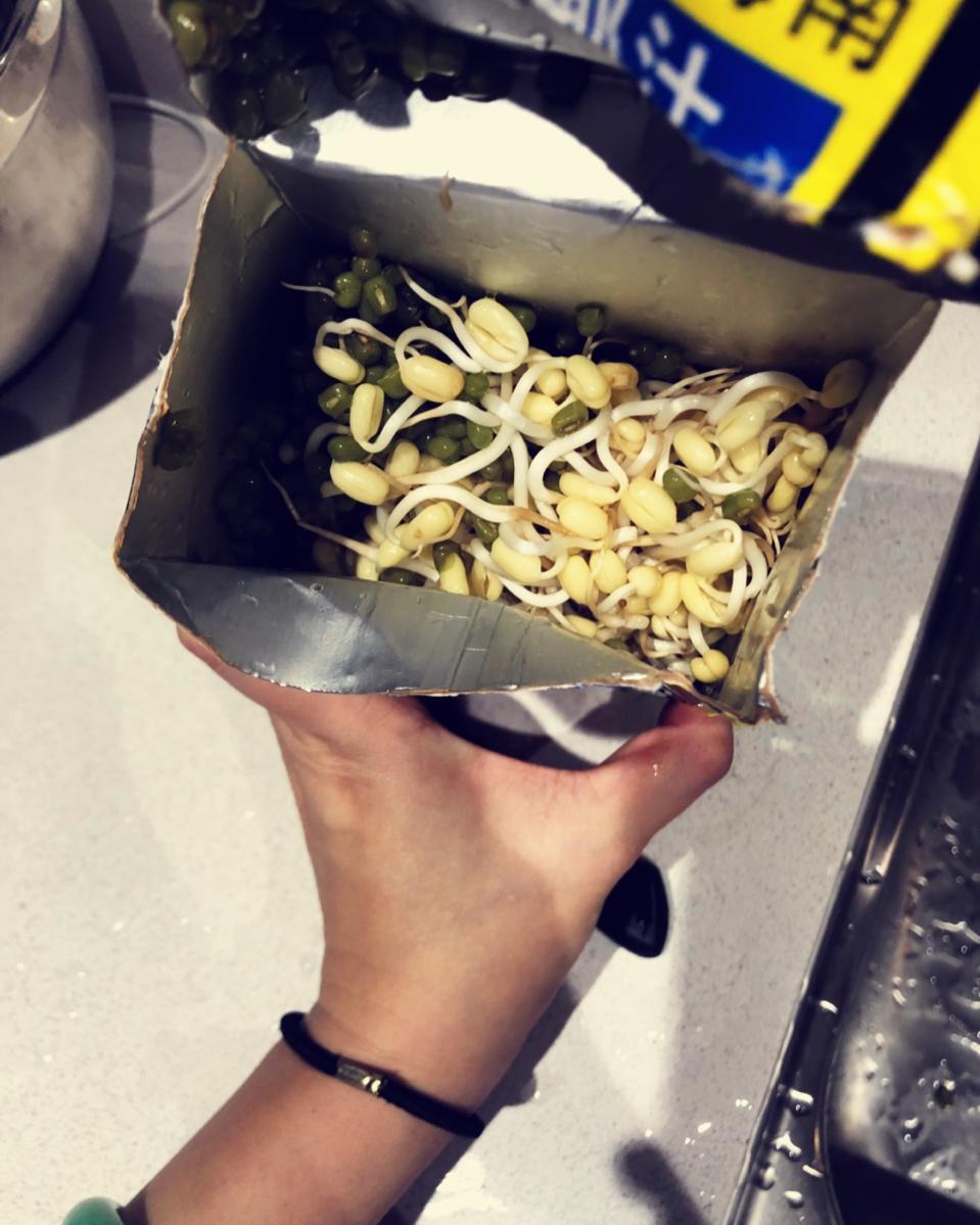 自己发豆芽【果汁盒/大牛奶盒】