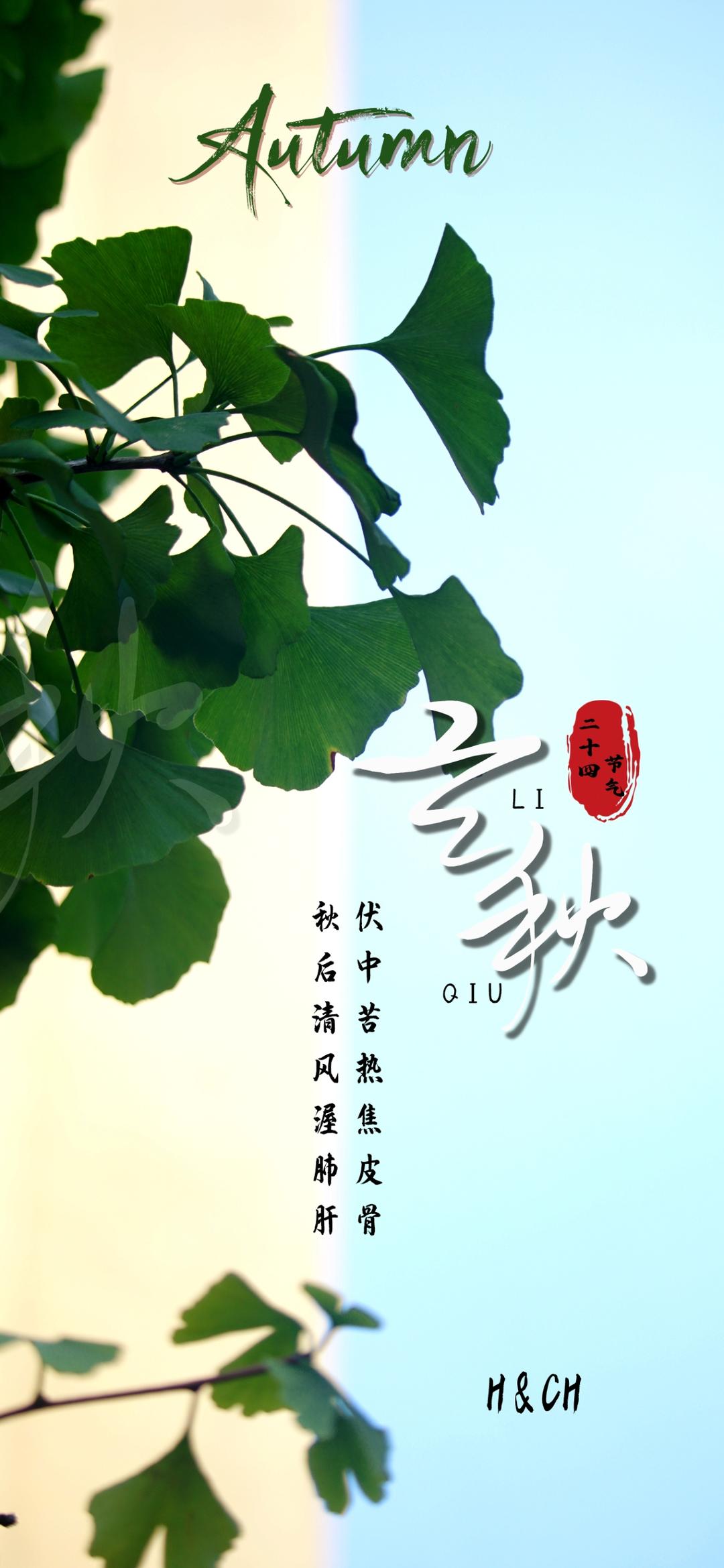 二十四节气的图