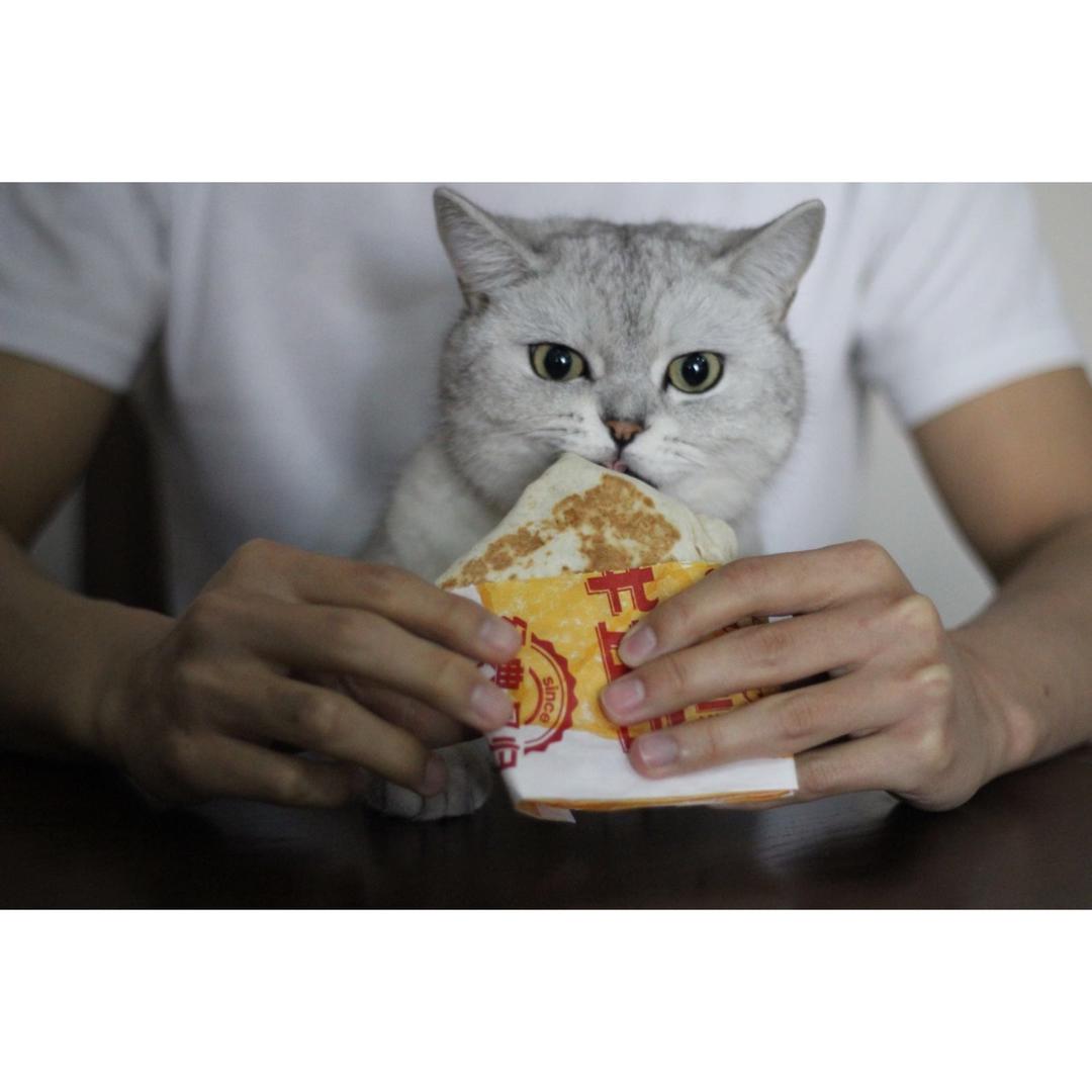 百分百还原【肯德基】嫩牛五方