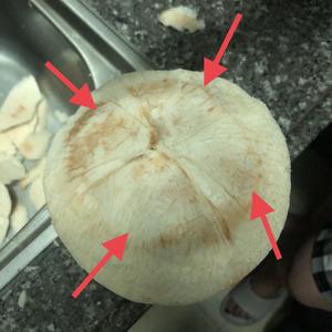 椰子乌鸡汤（附开椰子小技巧）的做法 步骤3