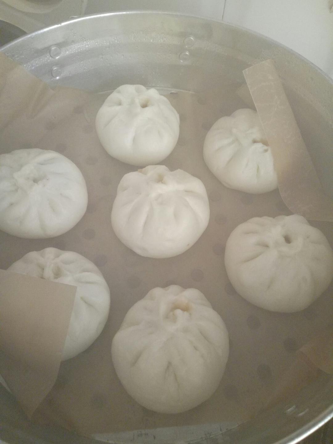猪肉包子（附视频。一次性发酵。）