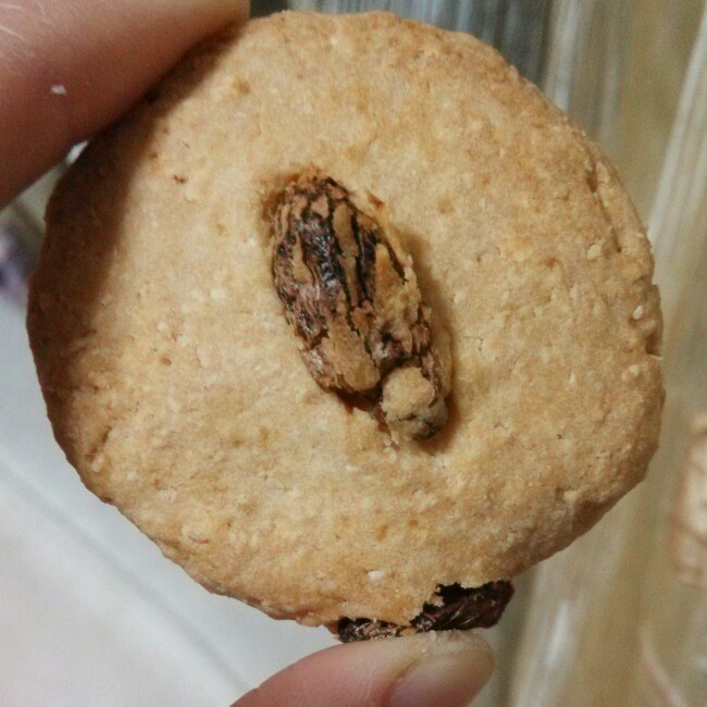 椰丝葡萄干饼干