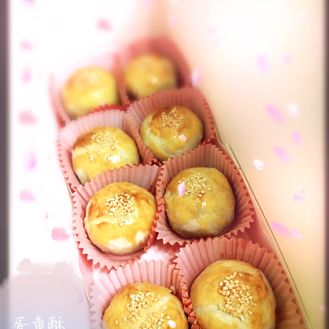 蛋黄酥 Danhuangsu