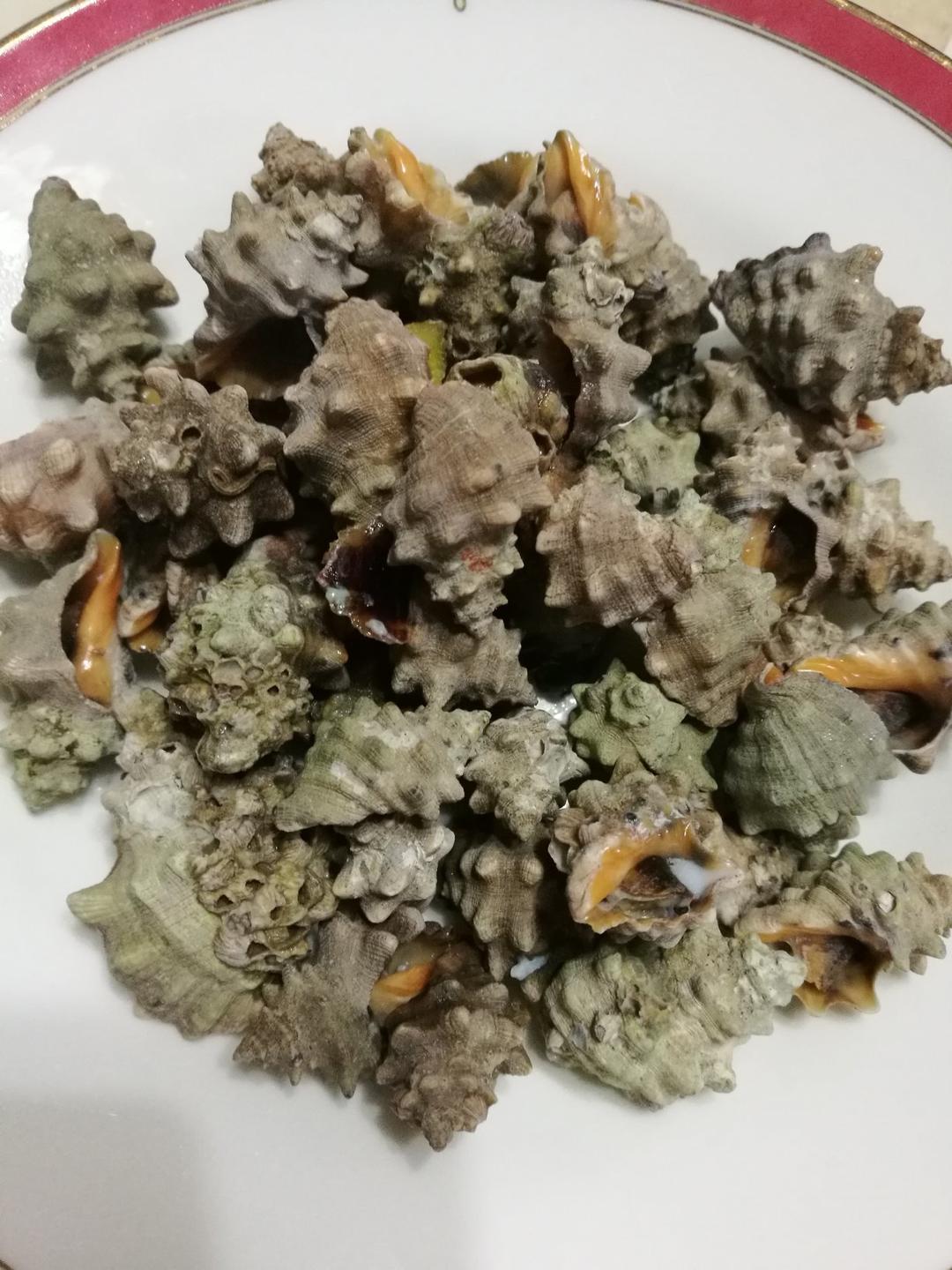 【白灼辣螺图片】幸运草小树_下厨房