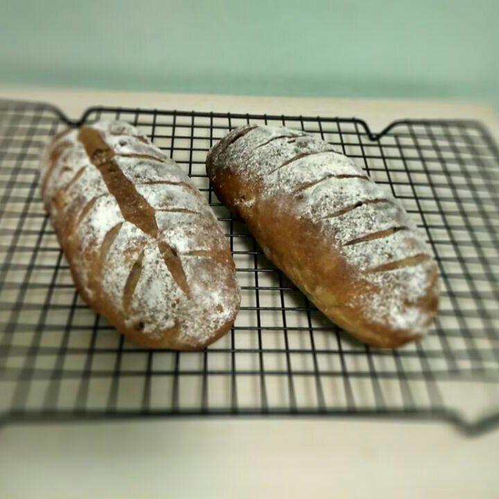 全麦核桃包～软欧包