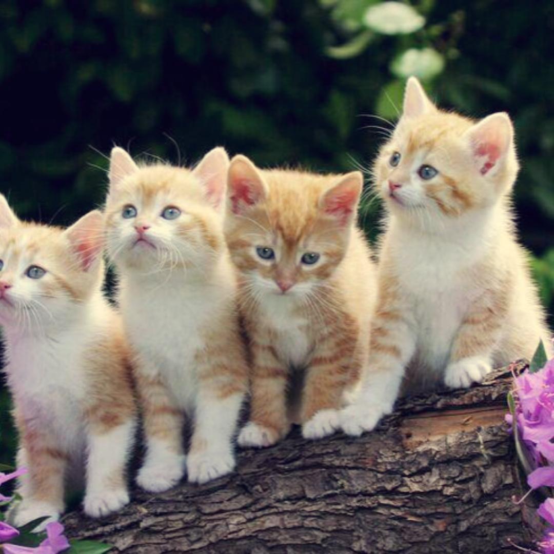 简单美味每一餐