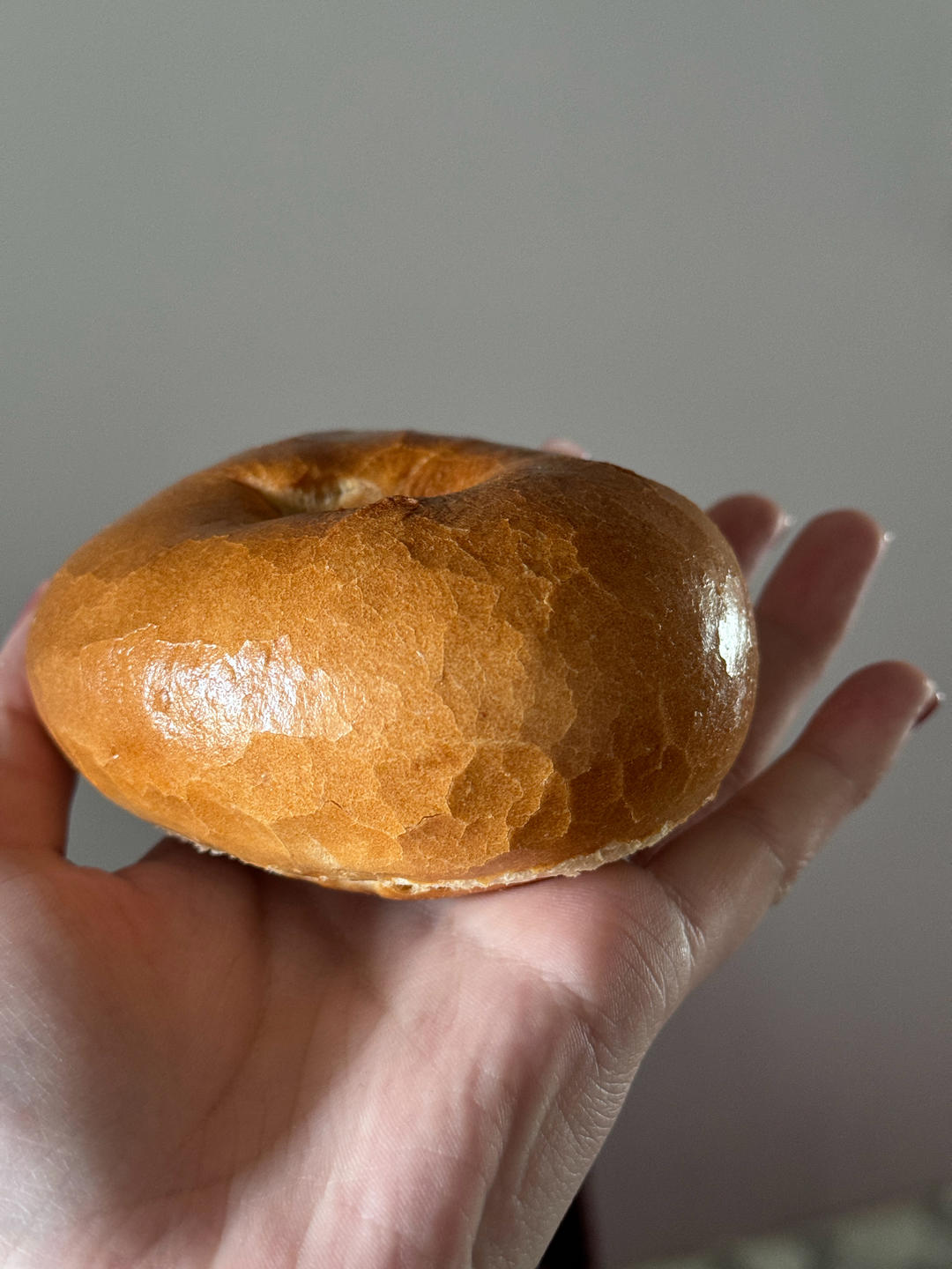 贝果Bagel with Everything🥯｜无油无糖 直接法快速法 只需两小时