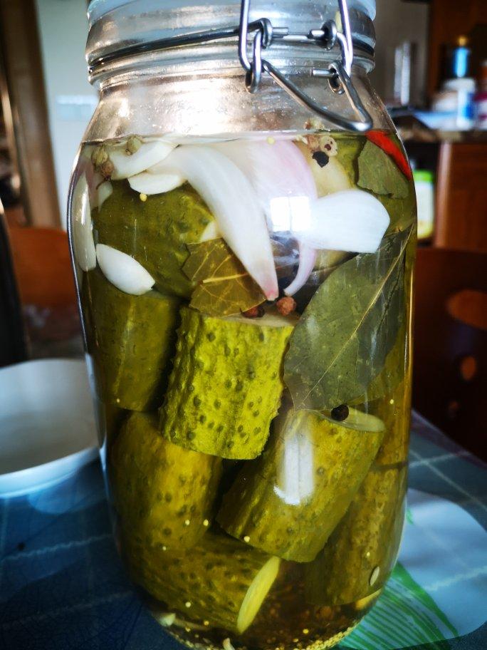 自制德式酸黄瓜的全部作品