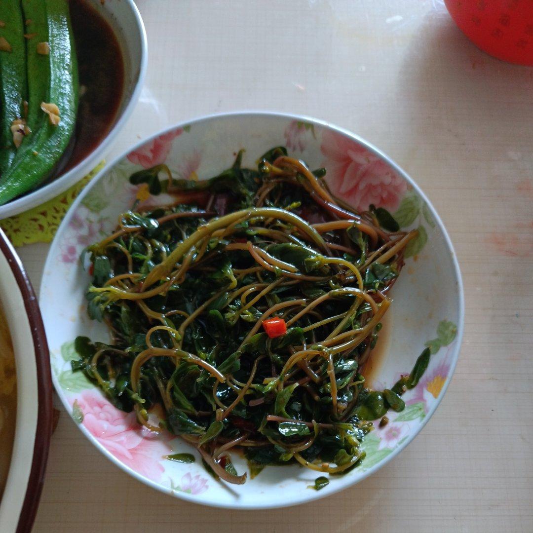 减脂系列——凉拌马齿苋