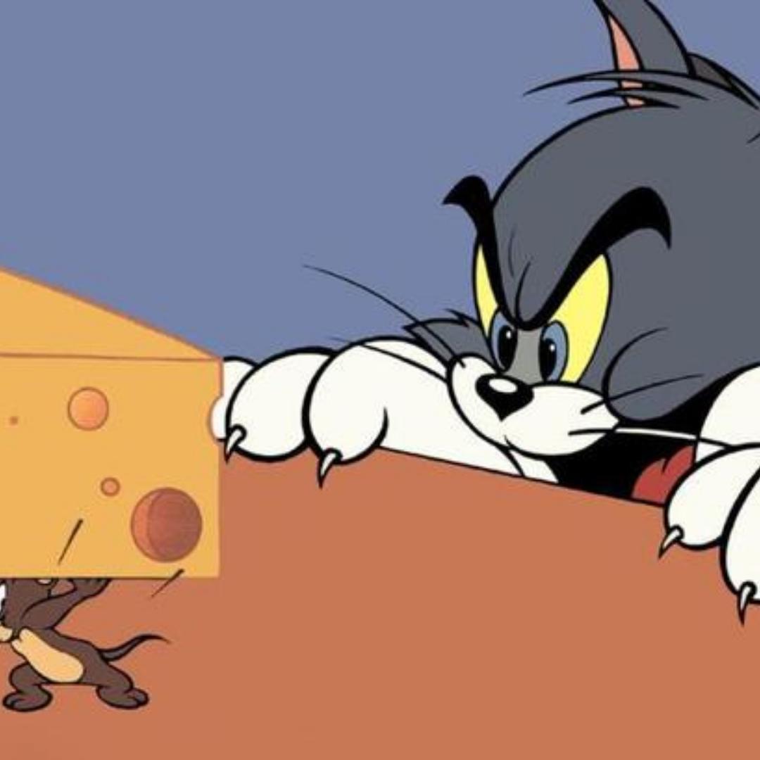 用户名还没想好啊