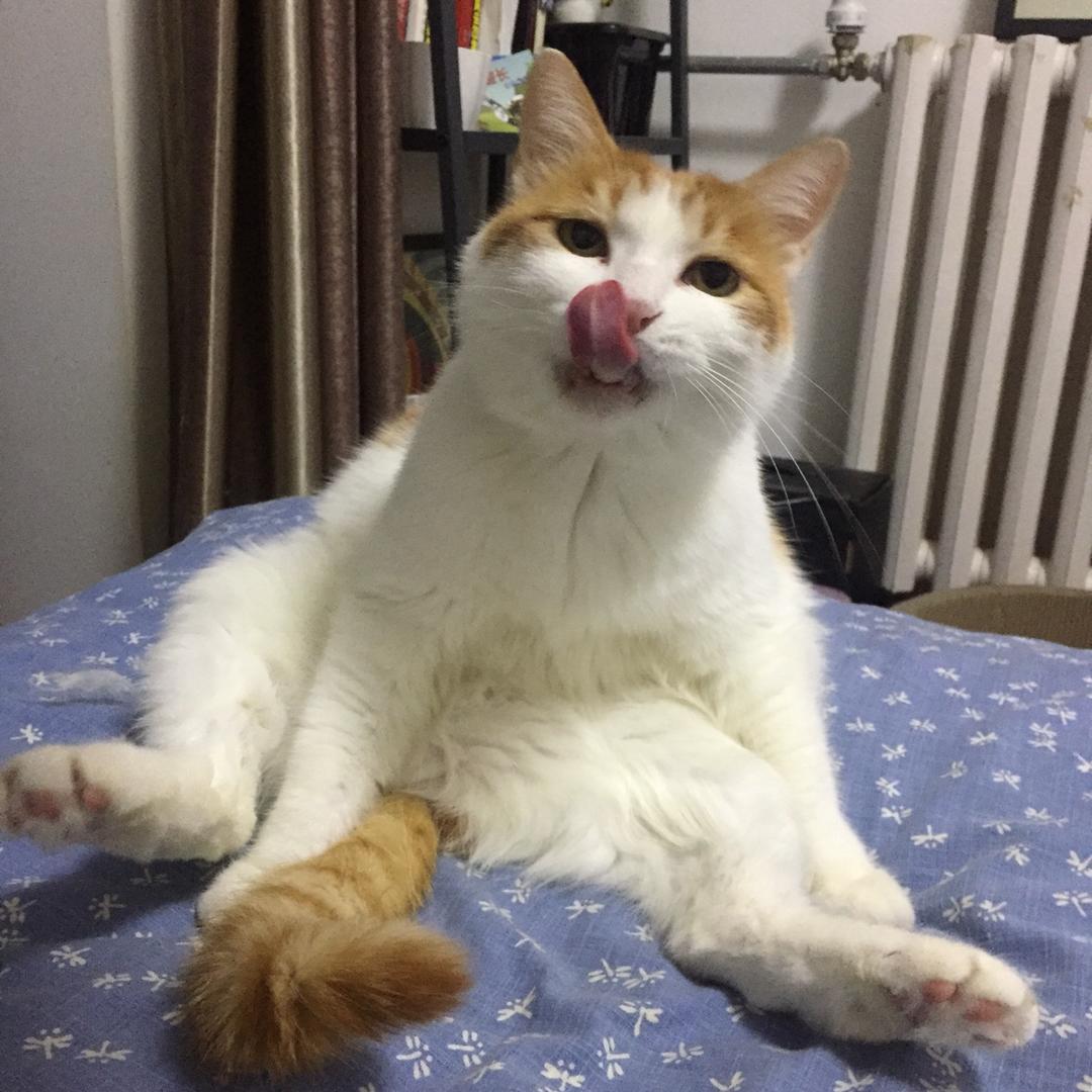 我给葡萄做顿饭