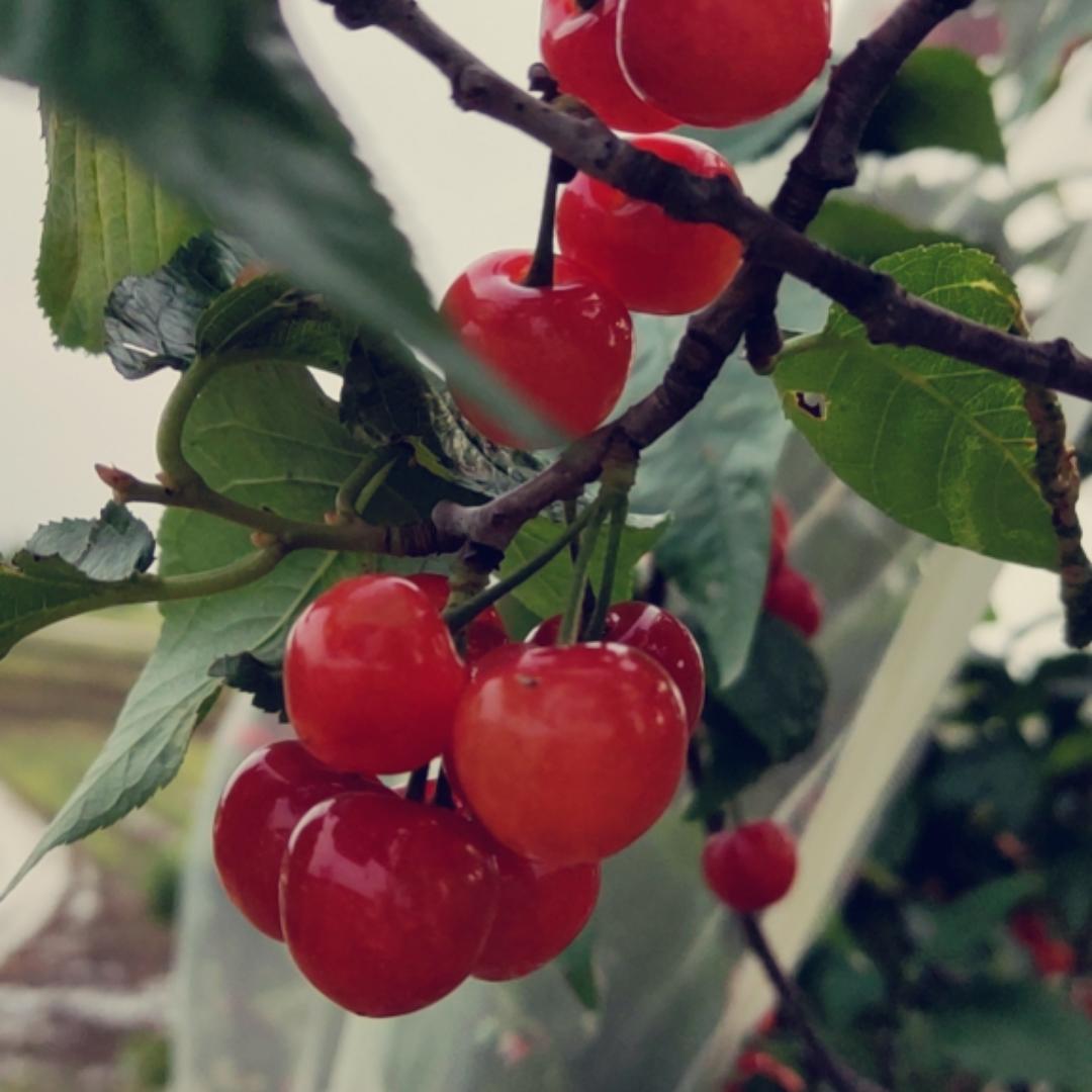 人间烟火一日三餐