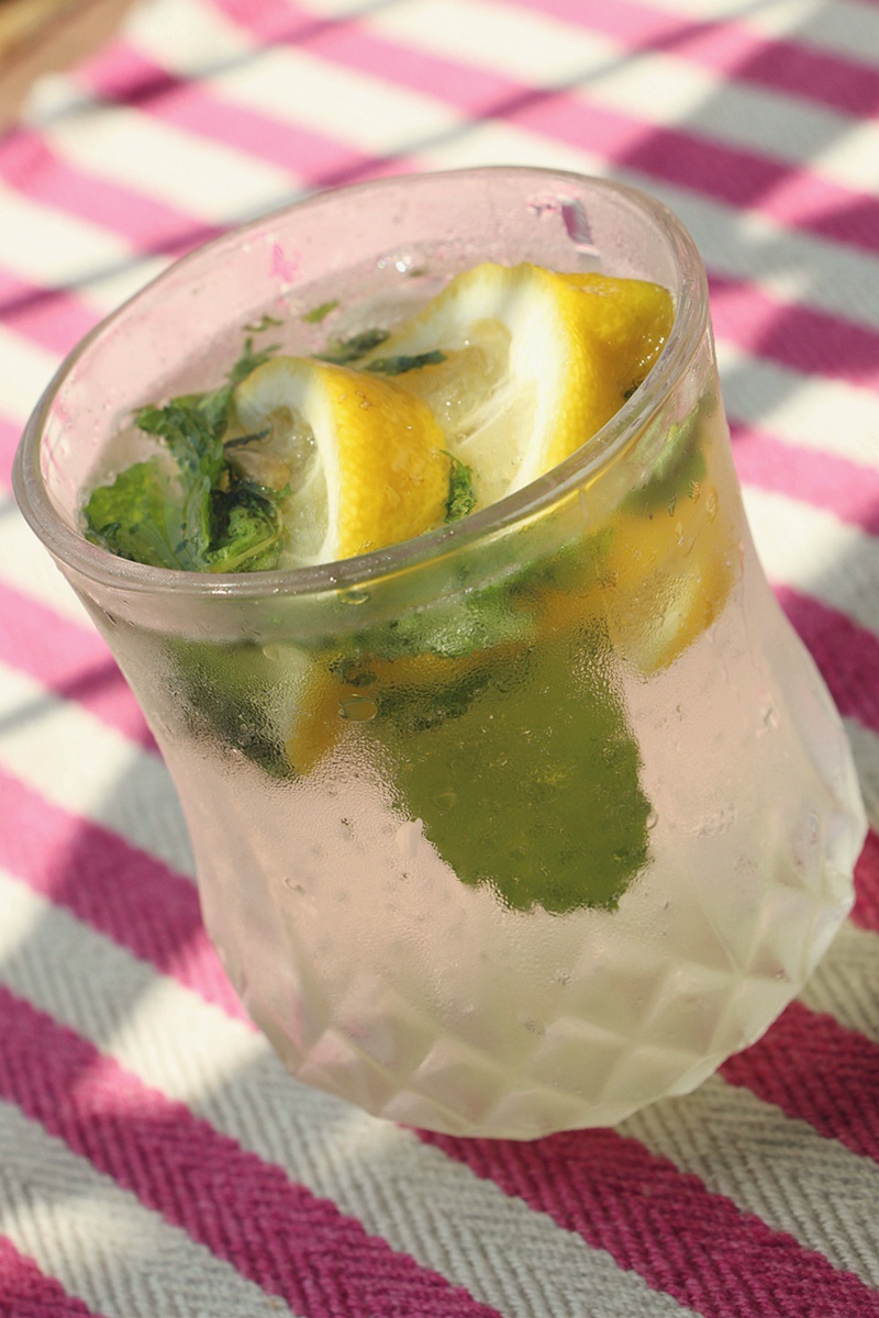 神奇喵星人做的古巴鸡尾酒mojito