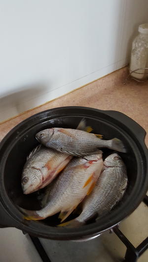 砂锅焗鱼的做法 步骤4