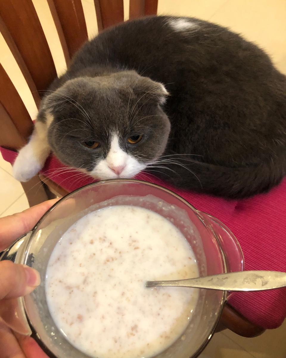 妊娠糖尿病饮食记录
