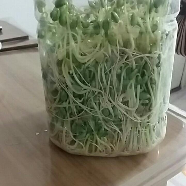 似是而非-18