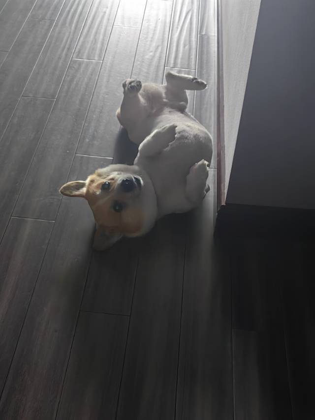 下厨房用户_a5rqg