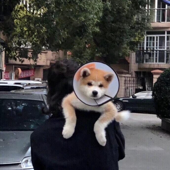 十一要多吃蔬菜