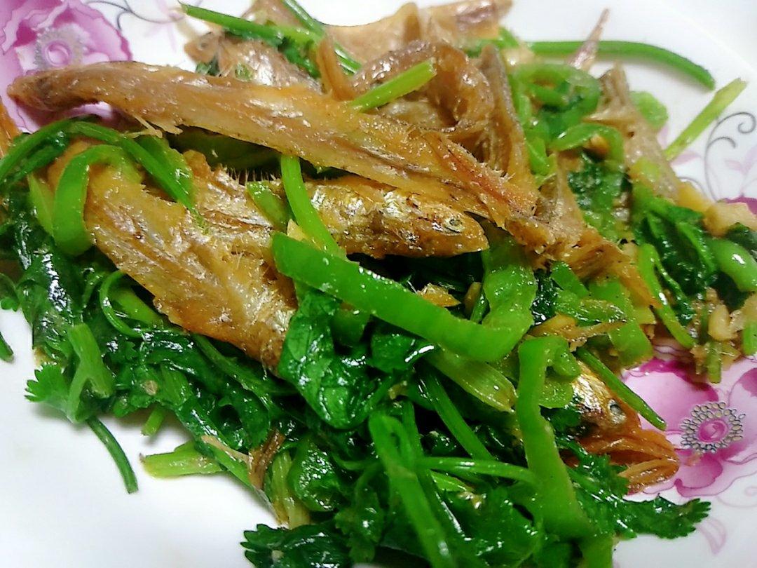 🌶️辣椒炒小鱼干🐟