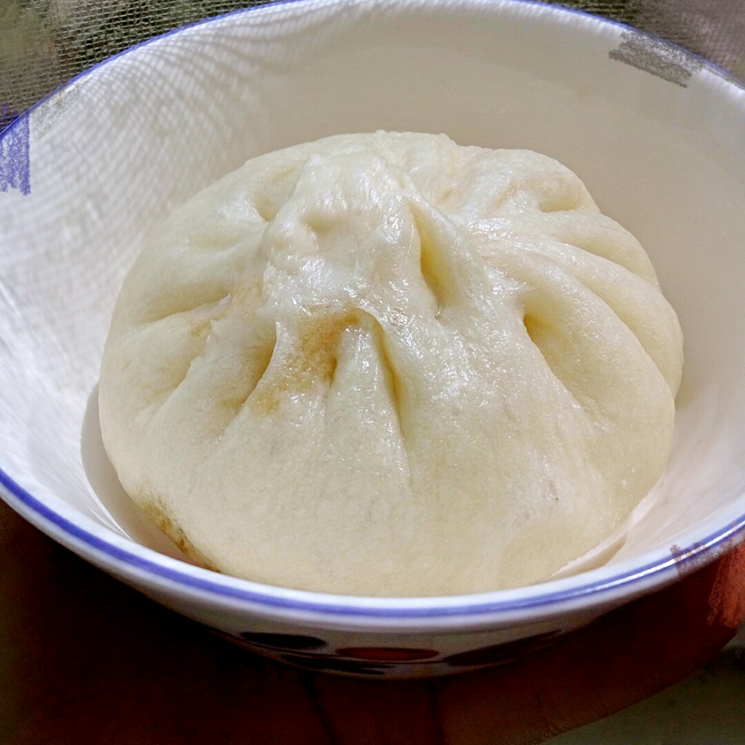 详解鲜肉大包做法。